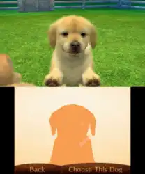 Image n° 1 - screenshots : Nintendogs + Cats - Golden Retriever & New Friends